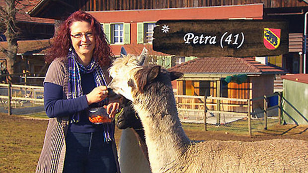 Bauer ledig sucht Staffel 7 Petra 41 Bäuerin mit Alpaka Bern