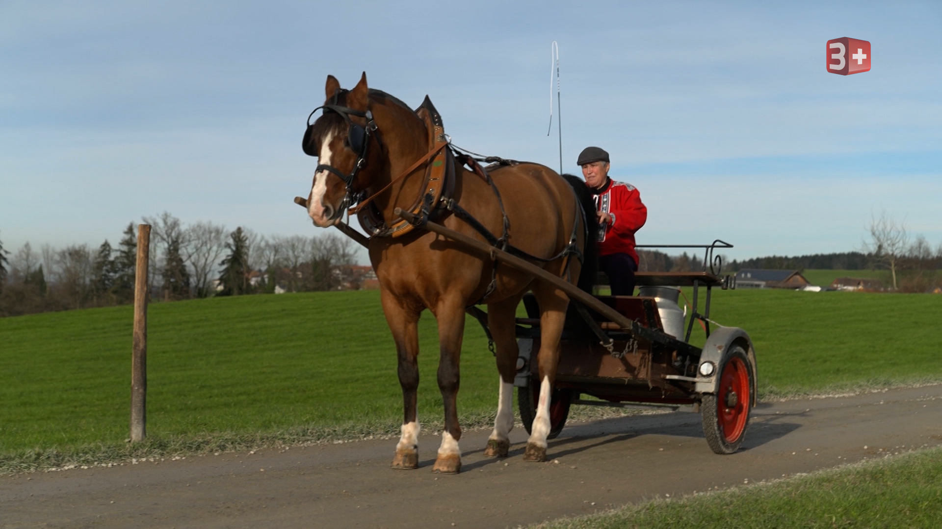 bls-s21-gabi-roebi Gabi Bauer ledig sucht Staffel 21 erster Kuss Röbi