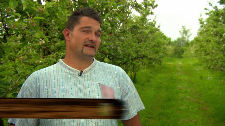 Bauer ledig sucht Staffel 12 Kandidaten