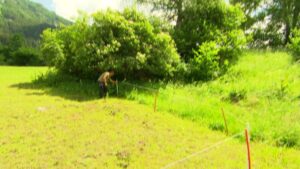 Bauer ledig sucht Staffel 16 Kandidaten