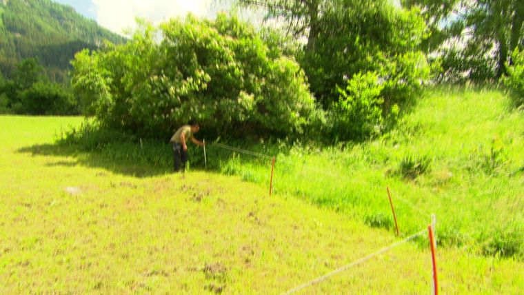 Bauer ledig sucht Staffel 16 Kandidaten