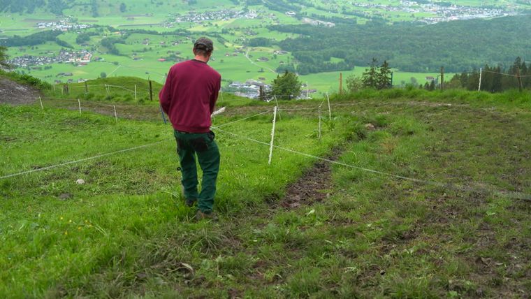 Bauer ledig sucht Staffel 20 Kandidaten