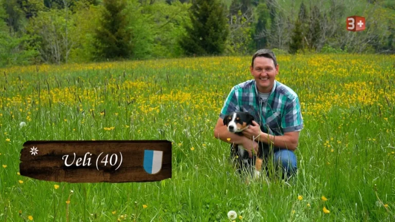 Man kneeling in a sunny wildflower field, holding a small black-and-white dog and smiling; rustic wooden sign reads 'Veli (40)' with a shield emblem.