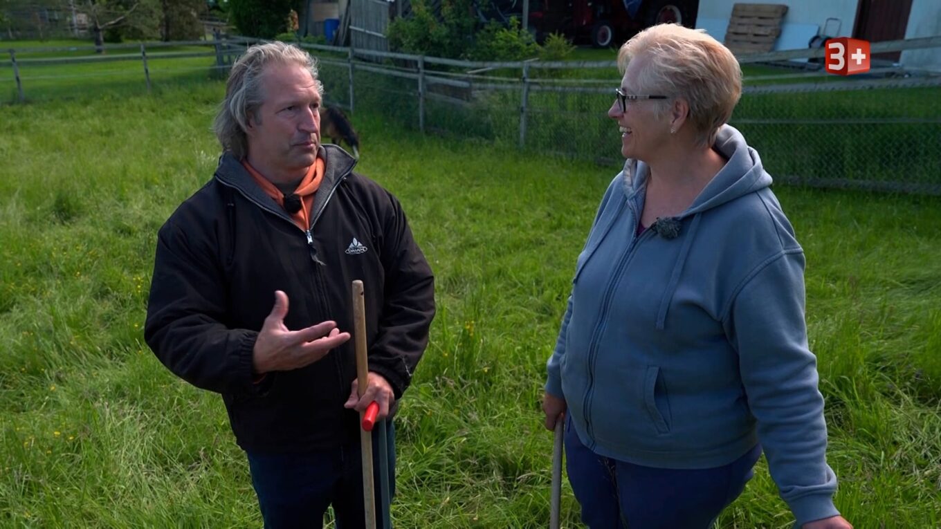 Janine und Andreas Bauer ledig sucht 2026 Hoffest Janine und Andreas bei Bauer ledig sucht Staffel 22 – Hoffest-Training mit Pferd Destinio