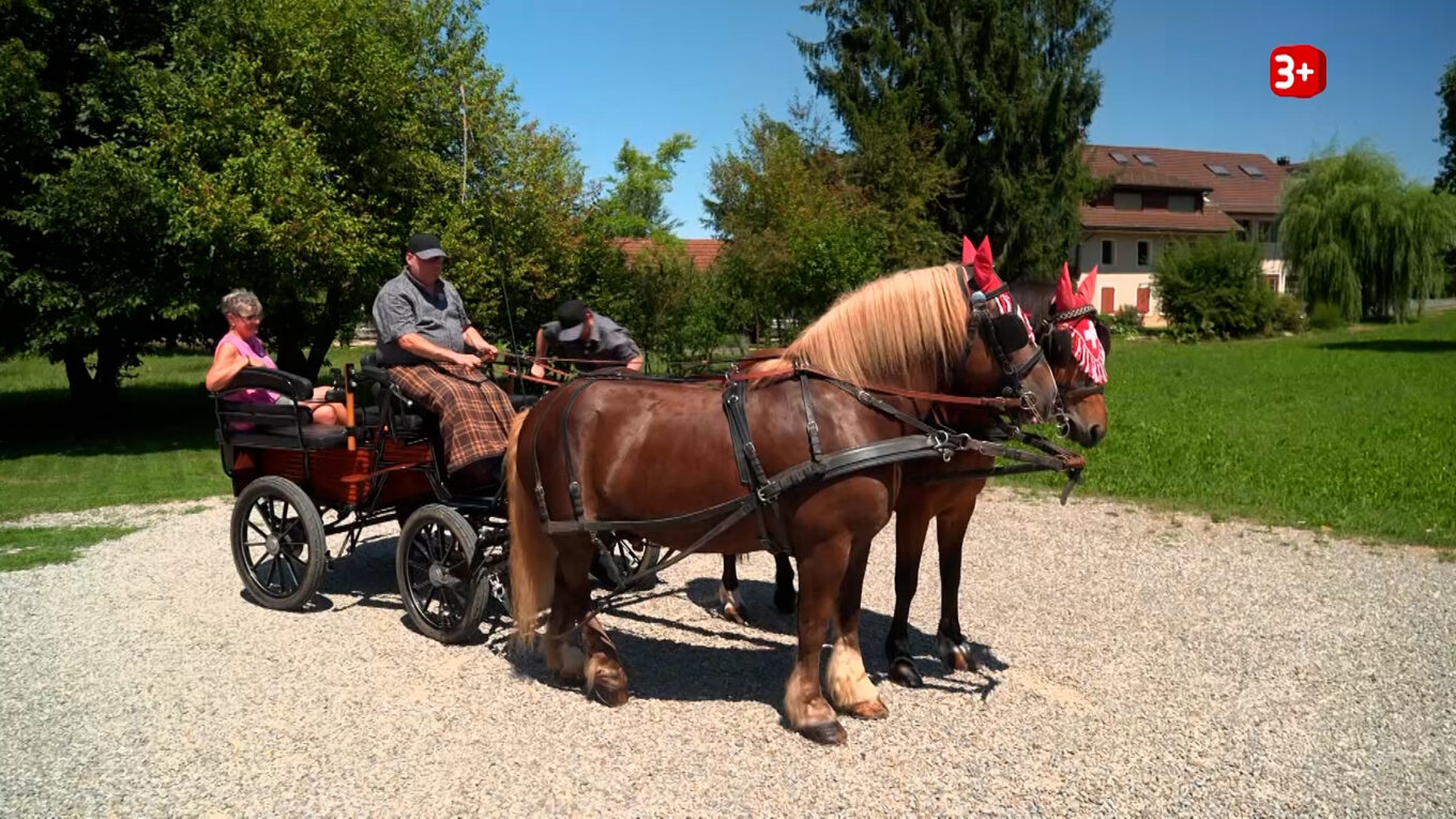 Kutschfahrt bei Bauer ledig sucht Staffel 22: Fraenzi holt ihren Hofherrn mit einem Pferdegespann ab