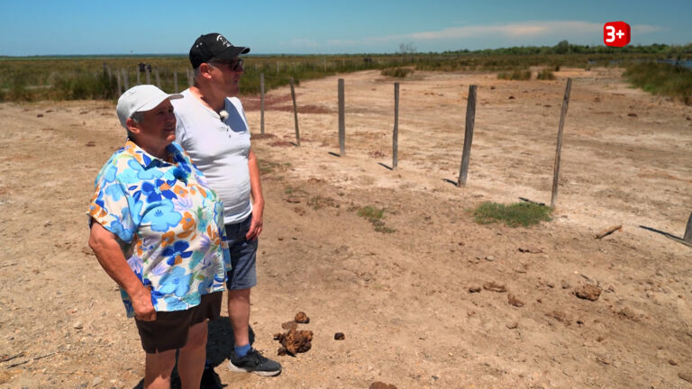 Bauer ledig sucht: Gabi und Röbi auf Safari in der Camargue, Folge 11